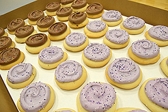 FABULOUS AGING CONFERENCE